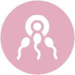 Verhütungsberatung bei Frauenarztpraxis Bahnert in Mühlacker